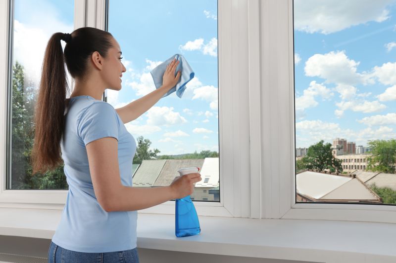 Outdoor Window Cleaning