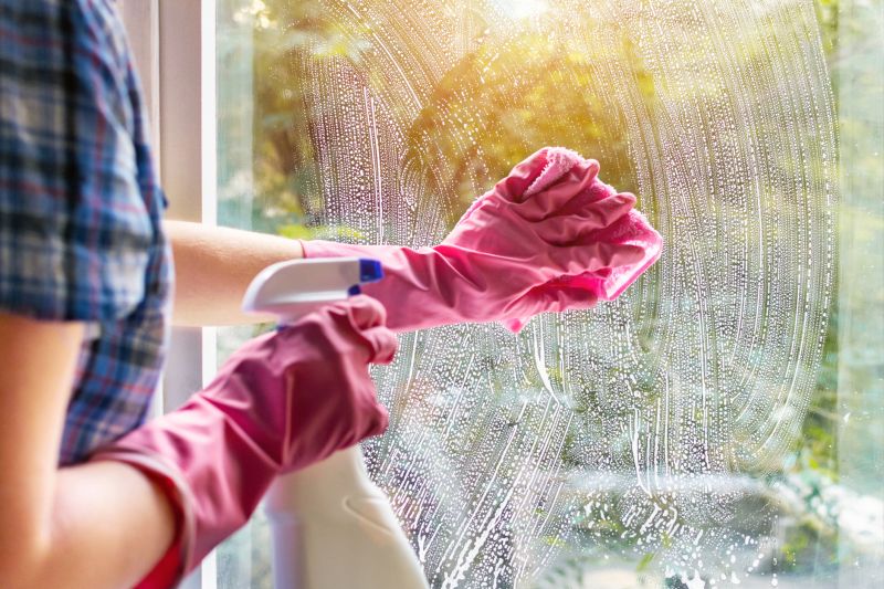 Outdoor Window Cleaning