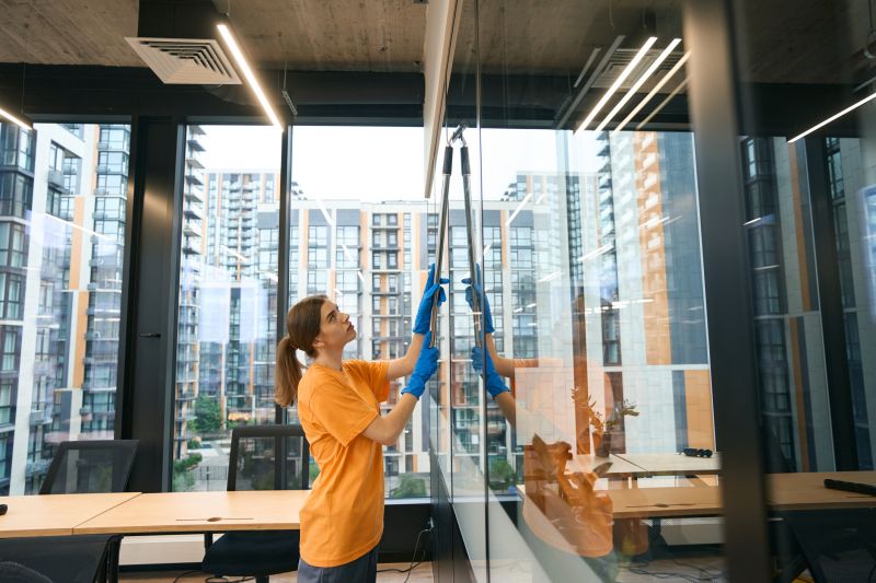 Technician Cleaning a Window